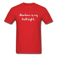 Abundance is my Birthright T-Shirt - red