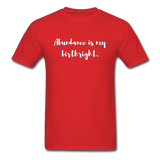 Abundance is my Birthright T-Shirt - red