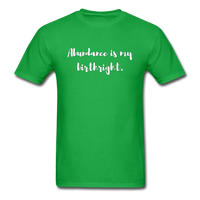 Abundance is my Birthright T-Shirt - bright green