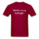 Abundance is my Birthright T-Shirt - dark red