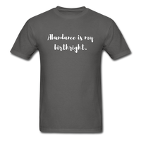 Abundance is my Birthright T-Shirt - charcoal