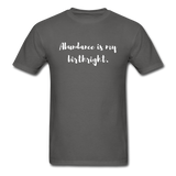 Abundance is my Birthright T-Shirt - charcoal