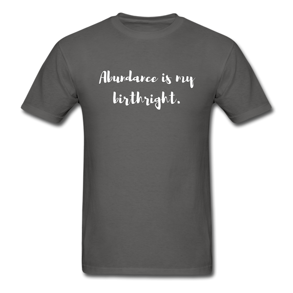 Abundance is my Birthright T-Shirt - charcoal