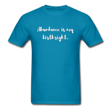 Abundance is my Birthright T-Shirt - turquoise